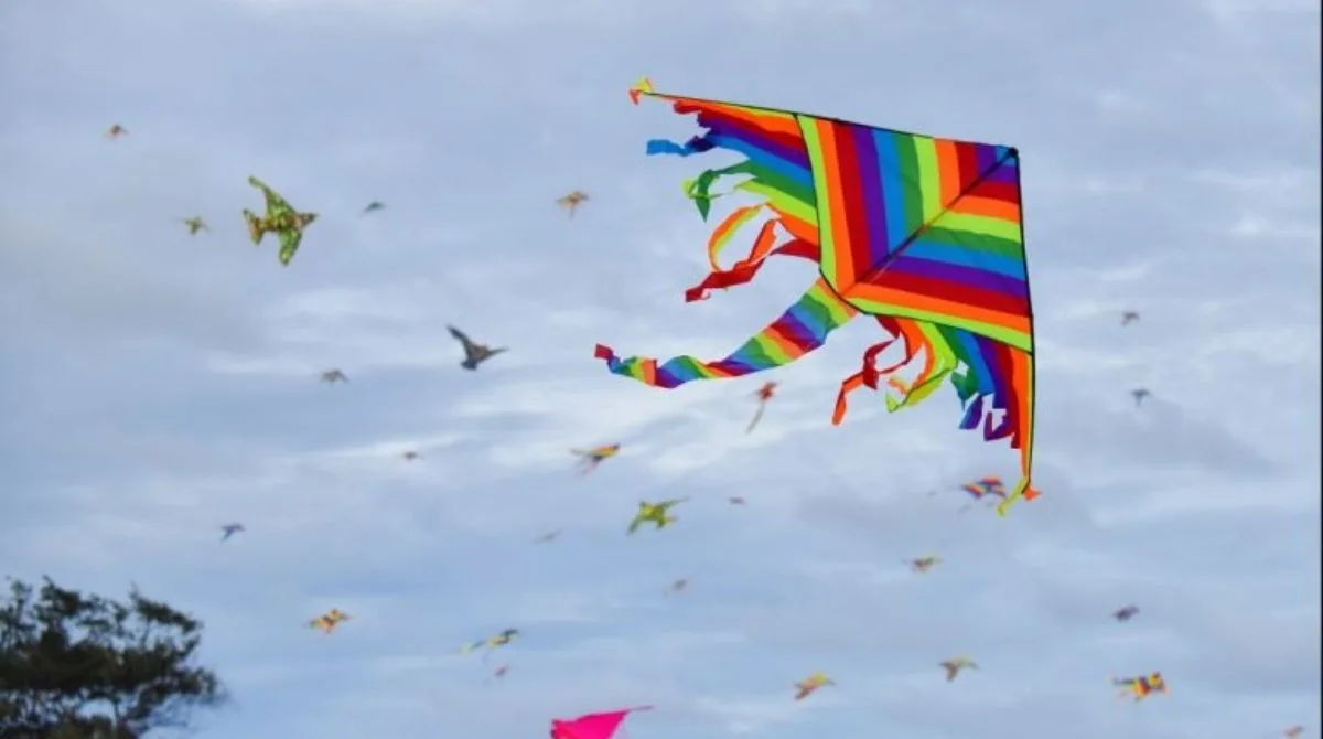 kite
