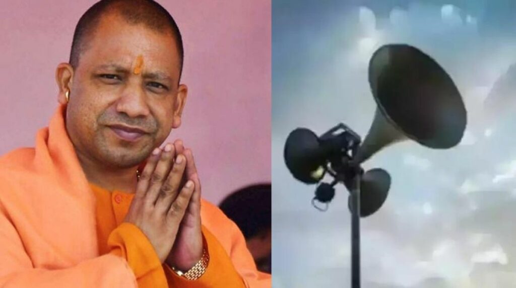 yogi