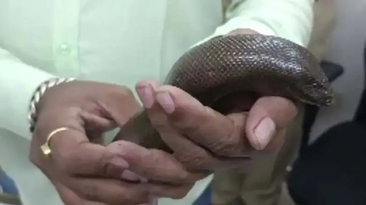 two-mouthed snake