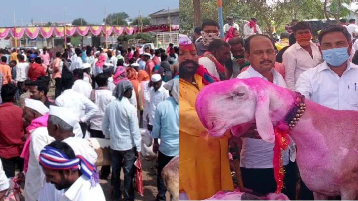 uttareshwar devachi yatra