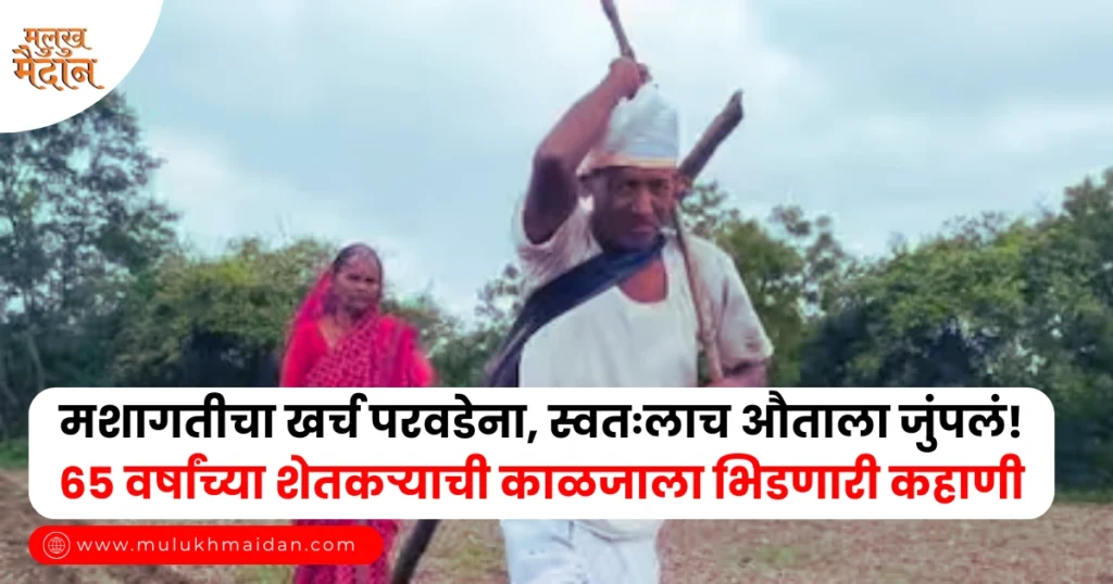 Agriculture News Latur